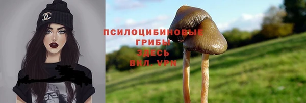 трава Надым