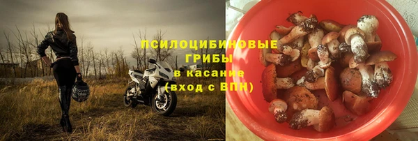 амф Алексин