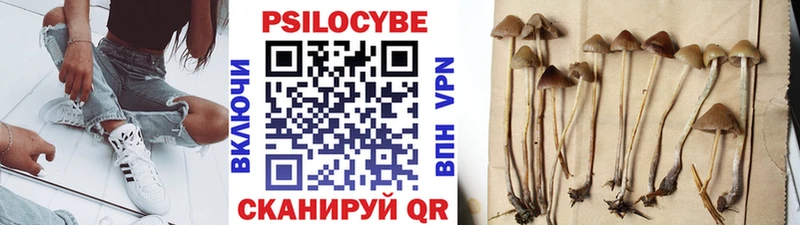 Псилоцибиновые грибы Cubensis  Нягань 