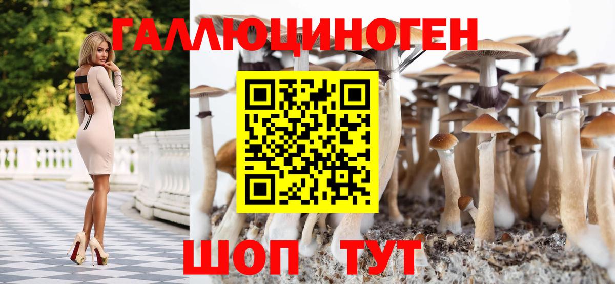 Нягань  как найти наркотики  Псилоцибиновые грибы MAGIC MUSHROOMS  Вход с VPN  Псилоцибиновые грибы Magic Shrooms 